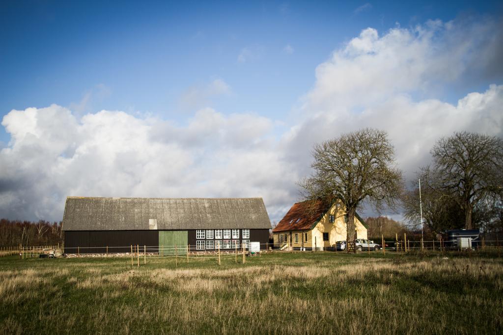 Froeken Hjorts Bed And Breakfast Höganäs Zewnętrze zdjęcie